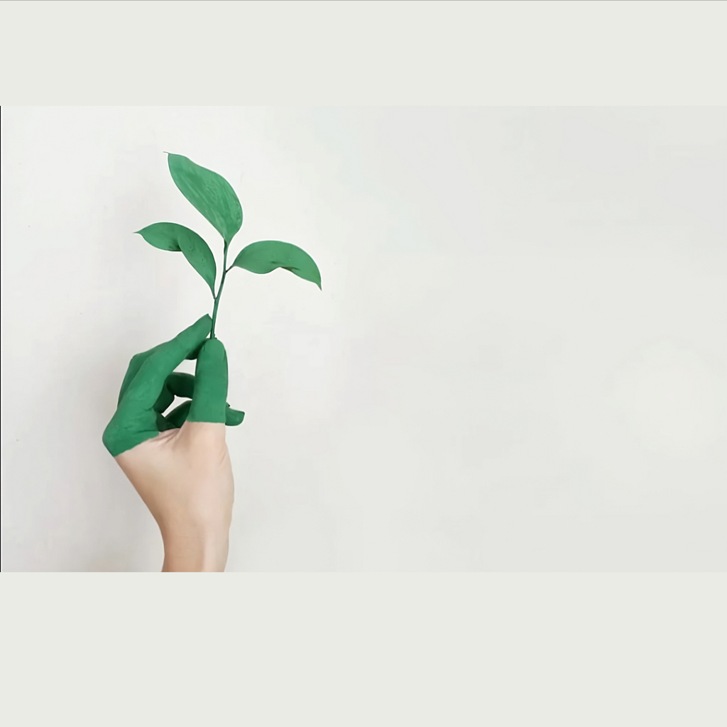 Leia mais sobre o artigo Construindo um futuro sustentável: os pilares da sustentabilidade!