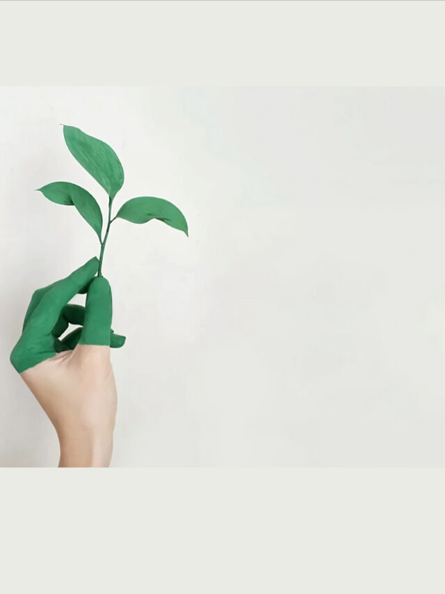 Construindo um futuro sustentável: os pilares da sustentabilidade!