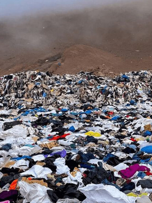 Roupas descartadas: o legado da indústria fast fashion!